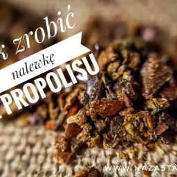 Jak zrobić nalewkę z propolisu? Zbliżenie na surowy propolis, który jest podstawą do przygotowania tej leczniczej mikstury.