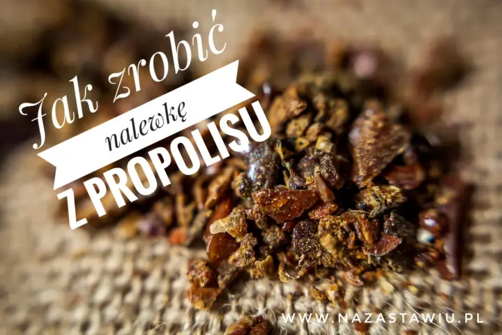 Jak zrobić nalewkę z propolisu? Zbliżenie na surowy propolis, który jest podstawą do przygotowania tej leczniczej mikstury.