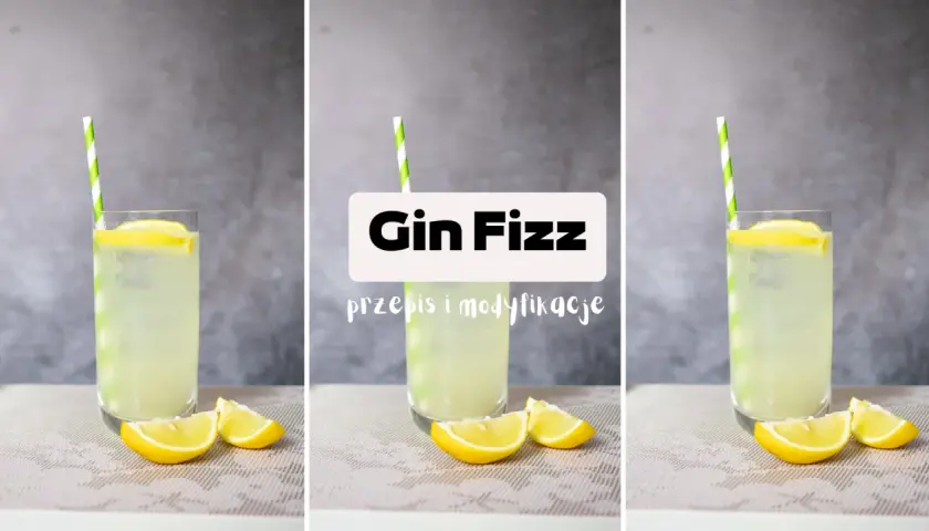 Orzeźwiający gin fizz z cytryną i słomką. Idealny na lato, z przepisem i modyfikacjami.