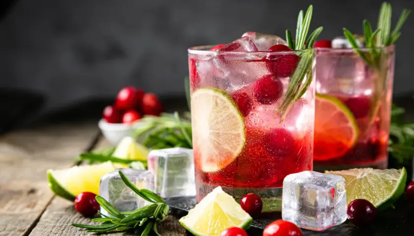 Orzeźwiający drink z żurawiną, limonką i rozmarynem. Idealny pomysł na to, z czym pić jagera.