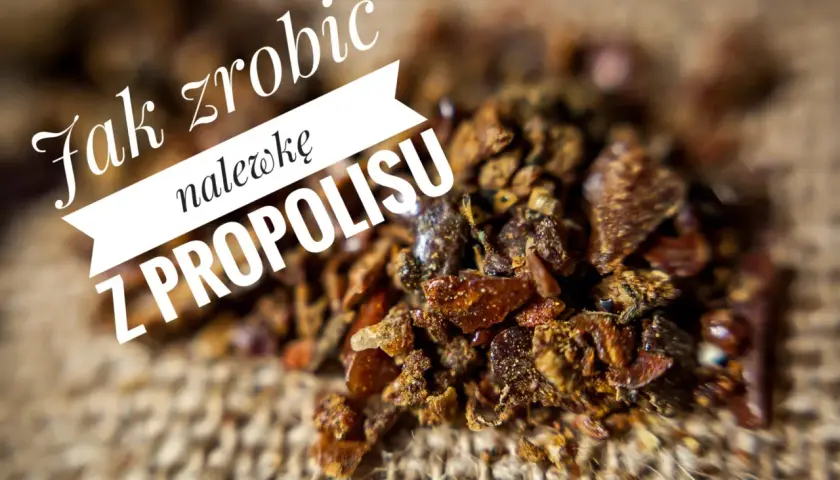 Jak zrobić nalewkę z propolisu? Zbliżenie na surowy propolis, który jest podstawą do przygotowania tej leczniczej mikstury.